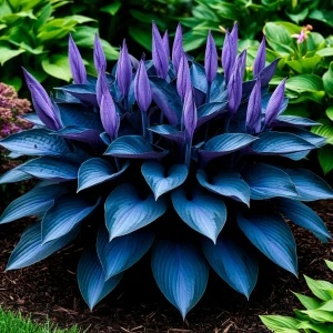 Хоста Сикрет Гров купить по цене от 570р. в интернет-магазине «Посадика» с доставкой почтой в в Карачаевске и по всей России – [изображение №1].