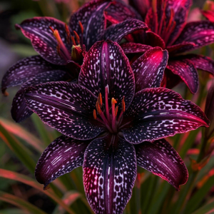 Лилейник Вояж купить по цене от 699р. в интернет-магазине «Посадика» с доставкой почтой в в Карачаевске и по всей России – [изображение №1].